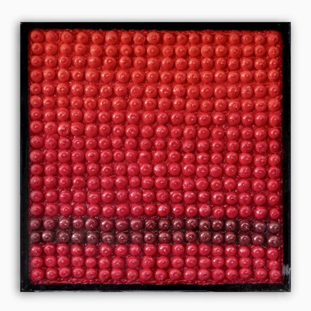 Vittorio Valente immagine del quadro con titolo griglia 2010 silicone su tela